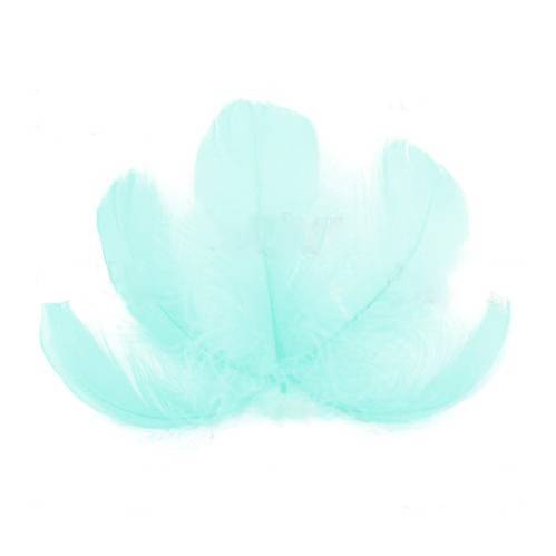 Набір пір'я максі, Небесний, 10 шт, від 6,5 см до 12 см, Фабрика Декору