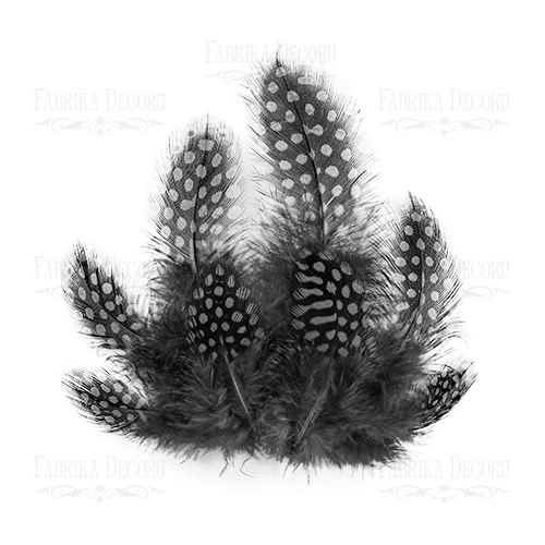 Набір пір'я цесарки, сірі, 10 шт, від 5 см до 8 см, Фабрика Декору