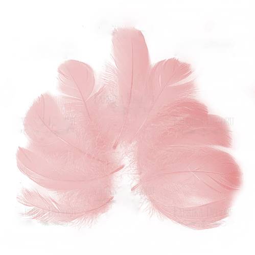 Набор перьев, Пепельно розовый, 5 шт, 9 см до 14 см, Фабрика Декора