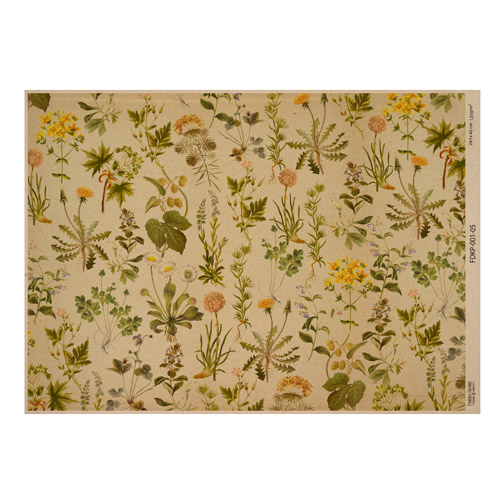 Аркуш крафт паперу з малюнком Botanical backgrounds #05, 42x29,7 см, Фабрика Декору