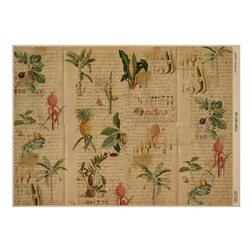Аркуш крафт паперу з малюнком Botanical backgrounds #08, 42x29,7 см, Фабрика Декору