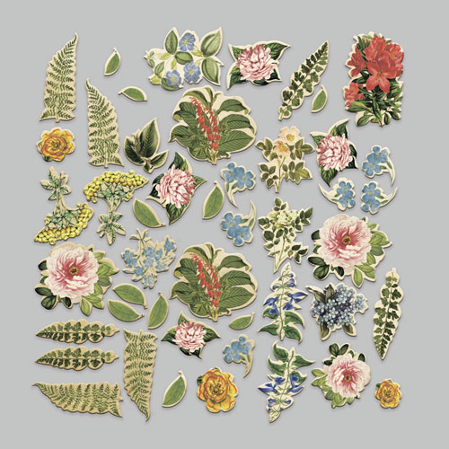Набір висічок, колекція Summer botanical story, 58 шт, Фабрика Декору