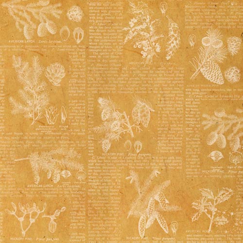 Набір скраппаперу, Winter botanical diary, 30,5х30,5 см, 10 аркушів, Фабрика Декору