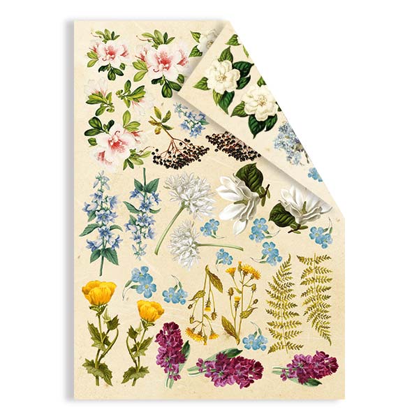 Набор двусторонних картинок для вырезания Botany Summer 15х20см, Фабрика Декора