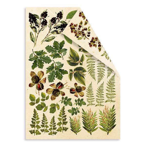 Набор двусторонних картинок для вырезания Botany Summer 15х20см, Фабрика Декора