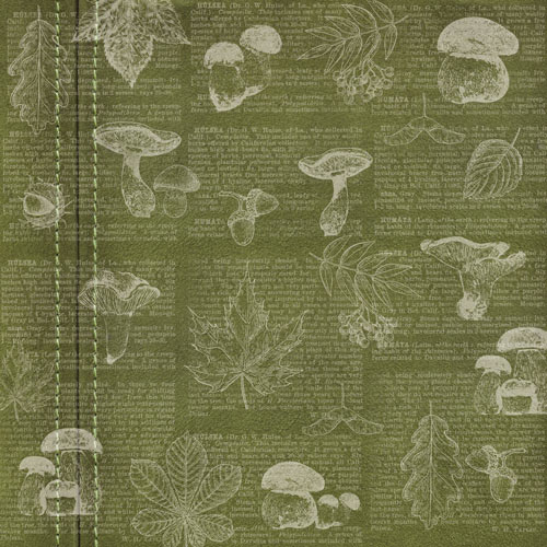 Лист двусторонней бумаги Autumn botanical diary #58-02 30,5х30,5 см, Фабрика Декору