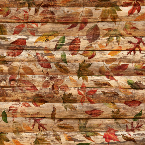 Лист двусторонней бумаги Autumn botanical diary #58-04 30,5х30,5 см, Фабрика Декору