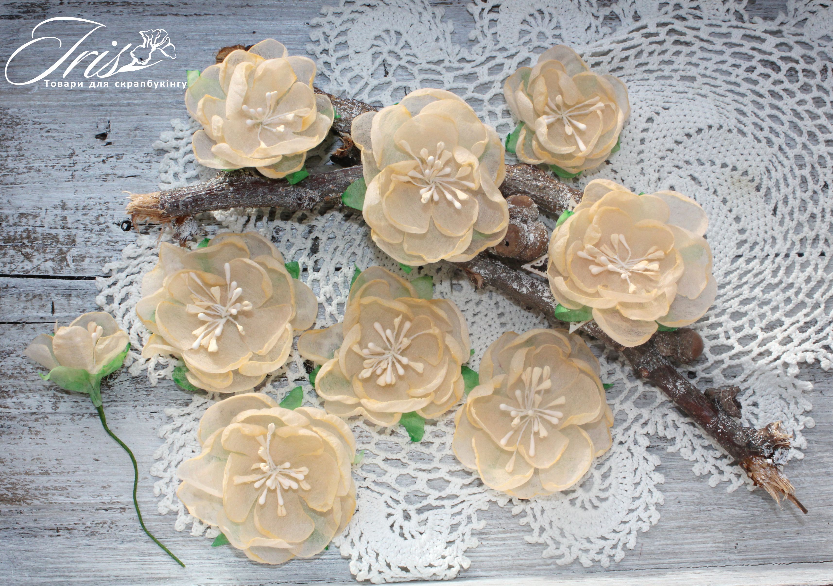 Набор цветов и декора, Royalty flowers Нежный персик, 45-60 мм, 9 шт, Iris
