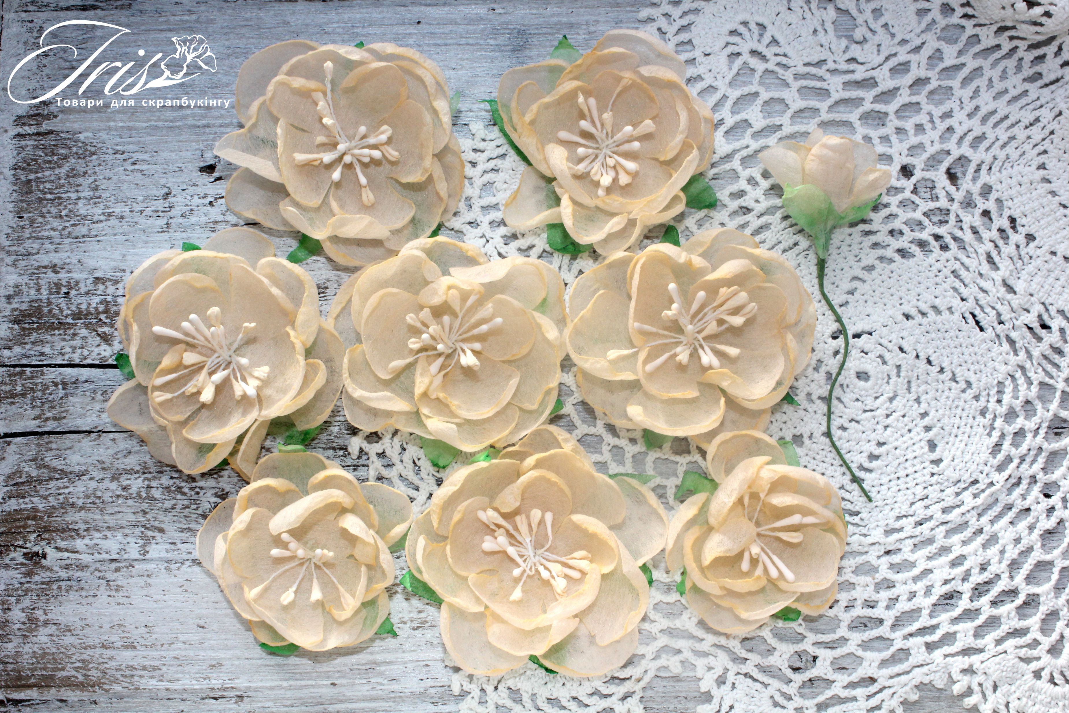 Набор цветов и декора, Royalty flowers Нежный персик, 45-60 мм, 9 шт, Iris