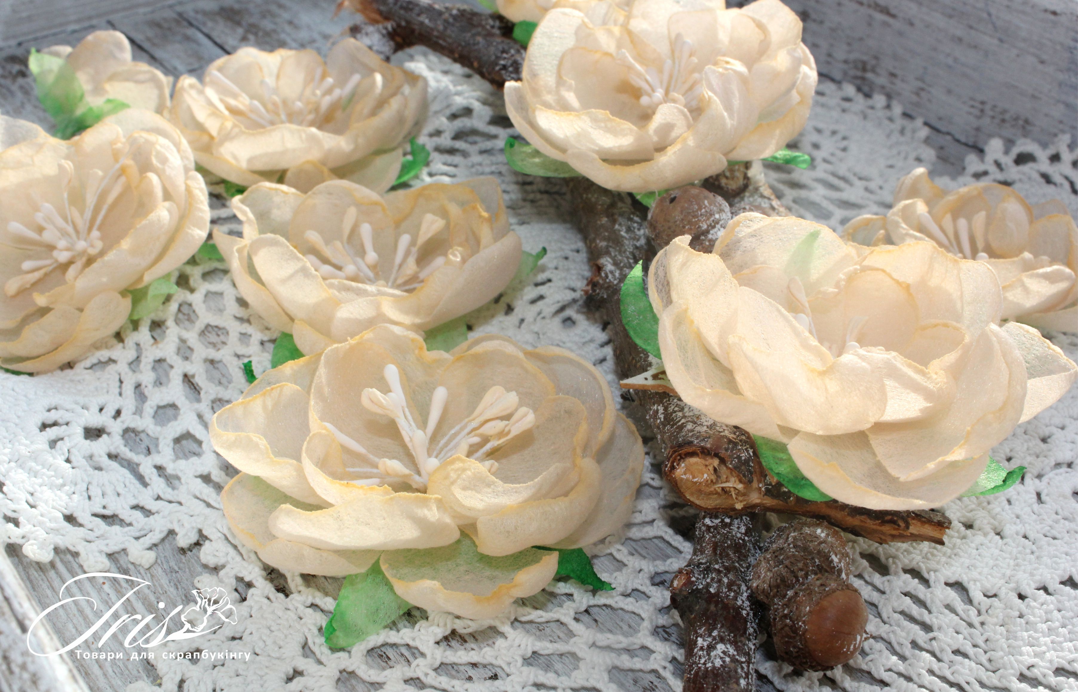 Набор цветов и декора, Royalty flowers Нежный персик, 45-60 мм, 9 шт, Iris
