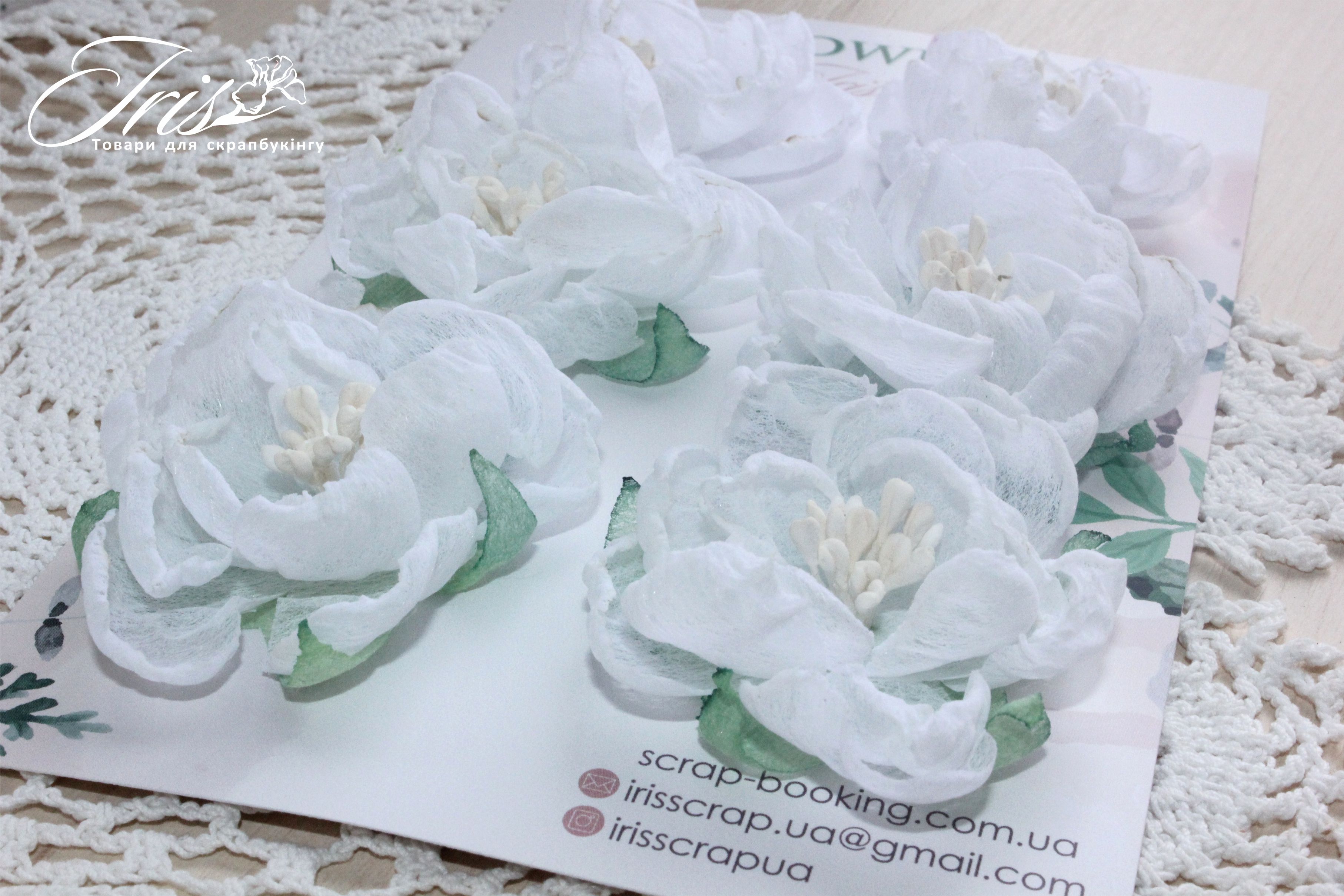 Набор цветов и декора, Royalty flowers Белые, 40-50 мм, 6 шт, Iris