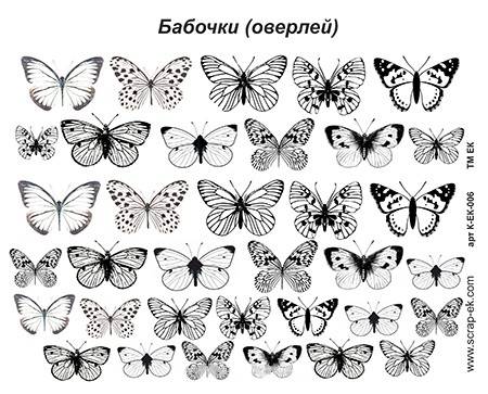 Оверлей, Метелики, А5, ТМ Курдібановская