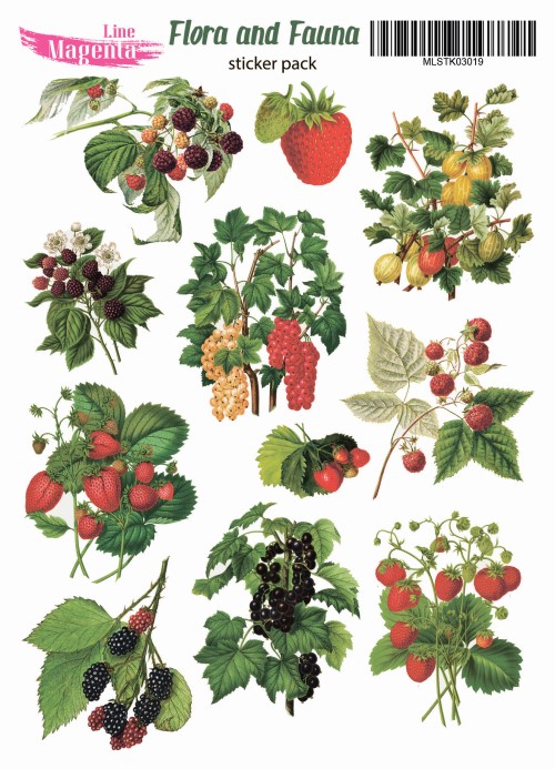 Наклейки, Magic Story Flora and Fauna Ягодний город, MLSTK03019, 13х18 см, Magenta Line