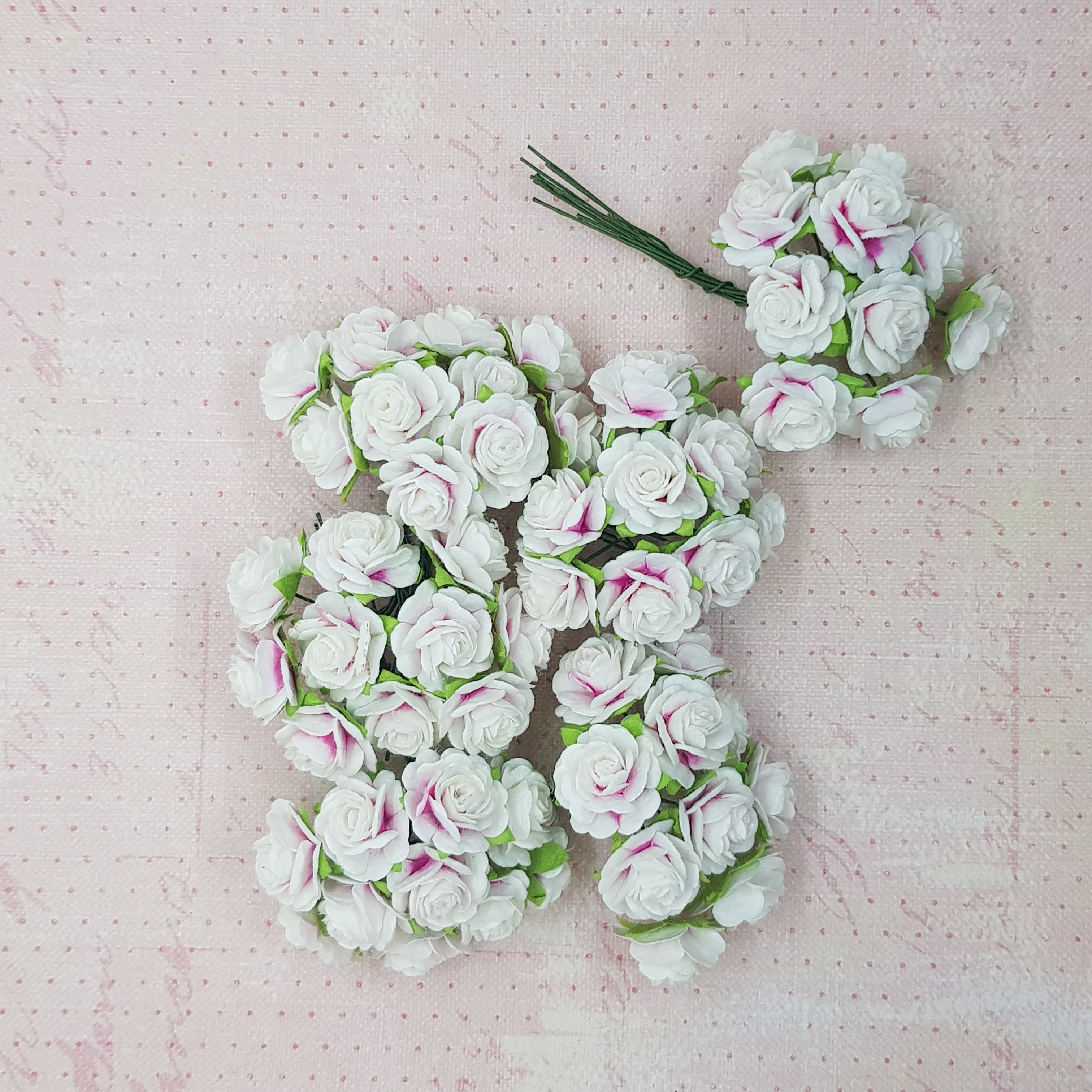 Набір диких трояндочок 20 мм, білий з рожевими краями, 10 шт