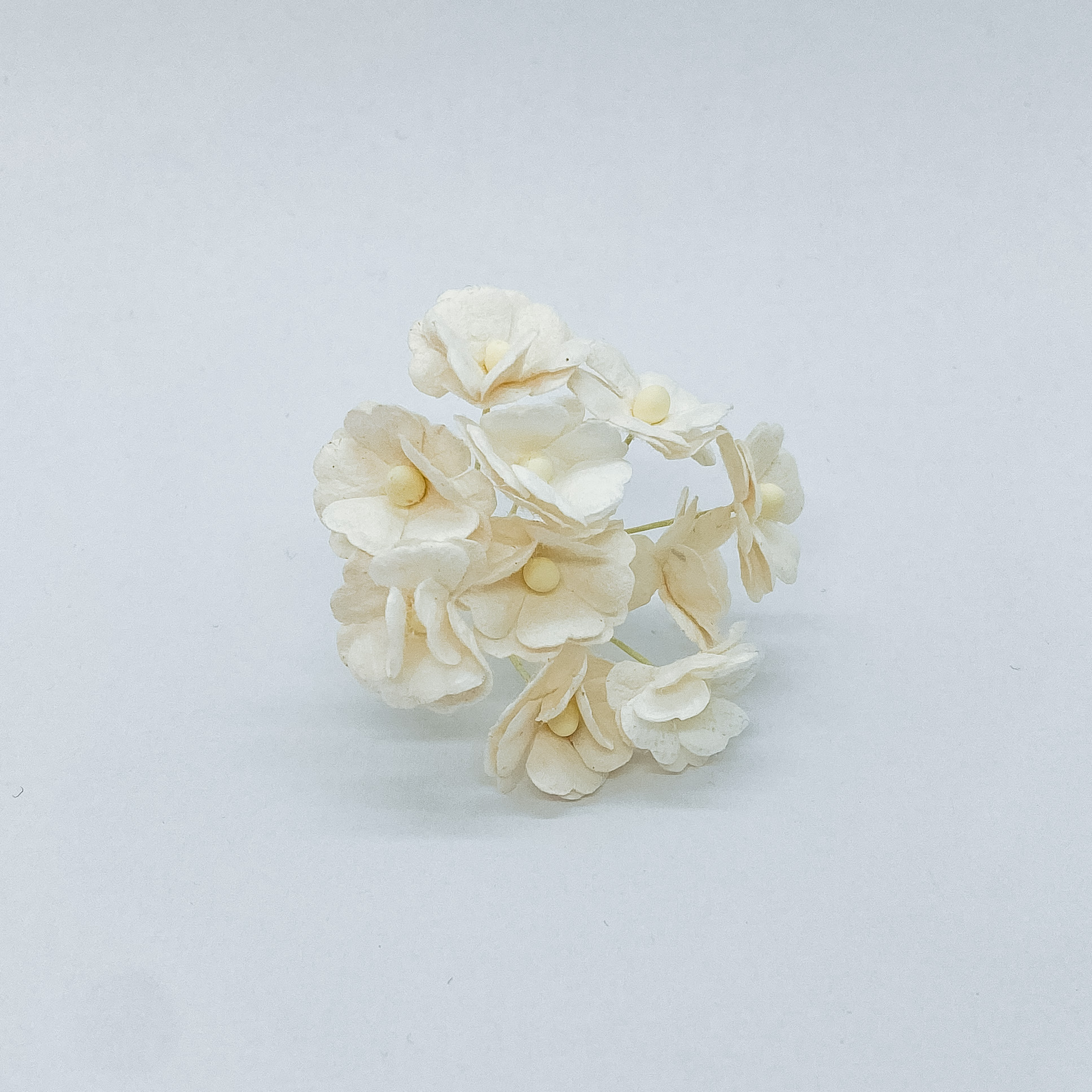 Декоративные цветочки Sweetheart, цвет белый, 20 мм