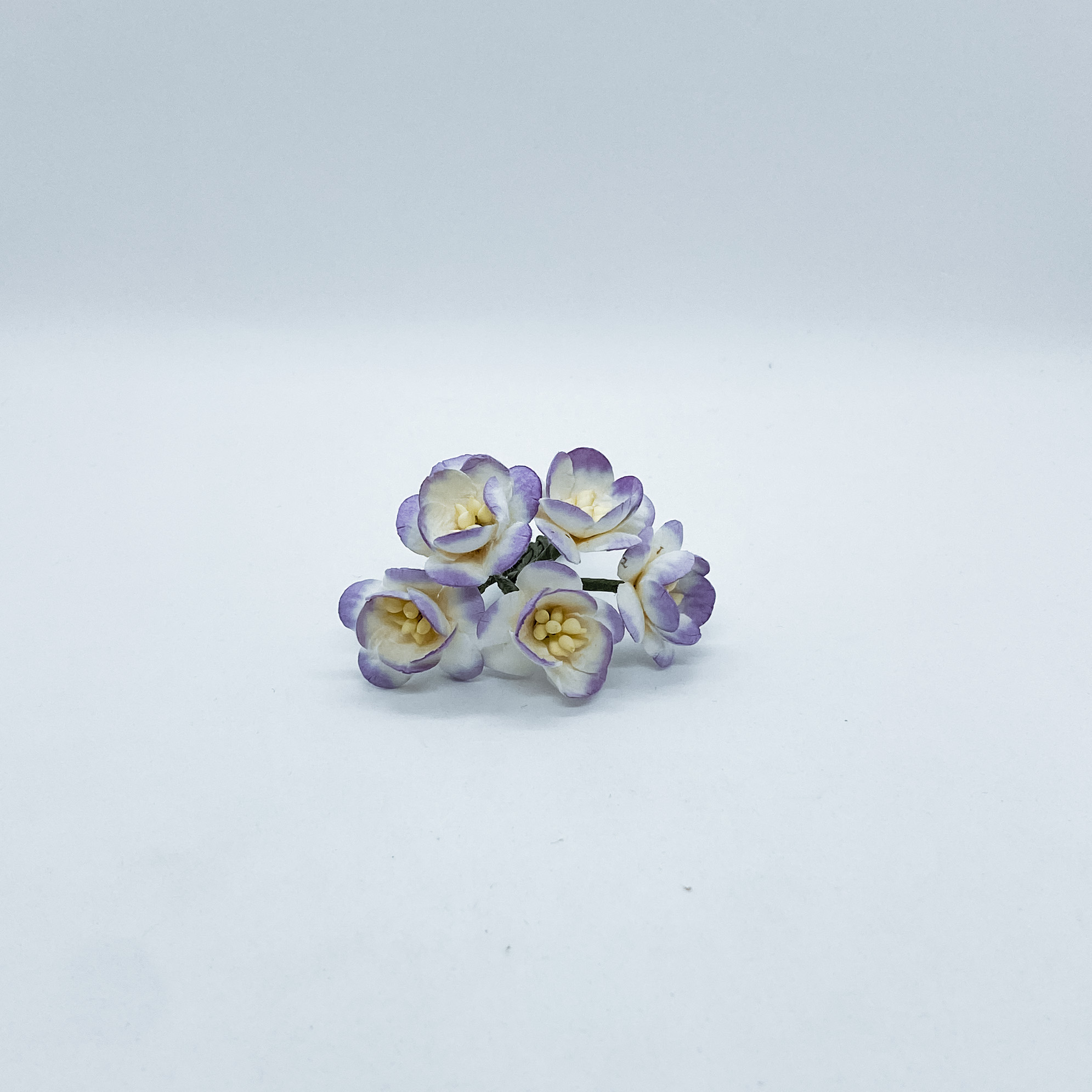 Набор  декоративных цветков вишни в фиолетовых тонах  5 шт.