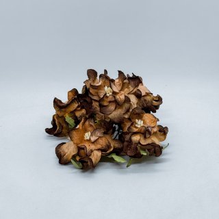 Декоративна квітка гарденії 60 мм CHOCOLATE BROWN, 1 шт.