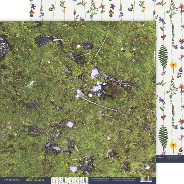 Лист двостороннього паперу, 03, Herbarium Wild summer, 30x30 см, Scrapmir