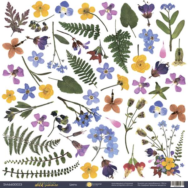 Лист одностороннього паперу, Декор, Herbarium Wild summer, 30x30 см, Scrapmir