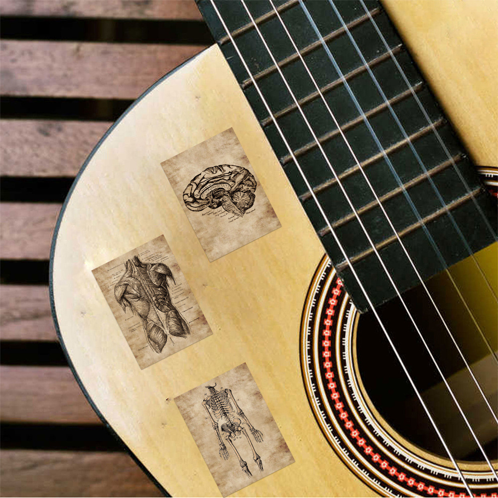 Набір наклейок Вінтажна анатомія, 30-60 мм, 56 од.