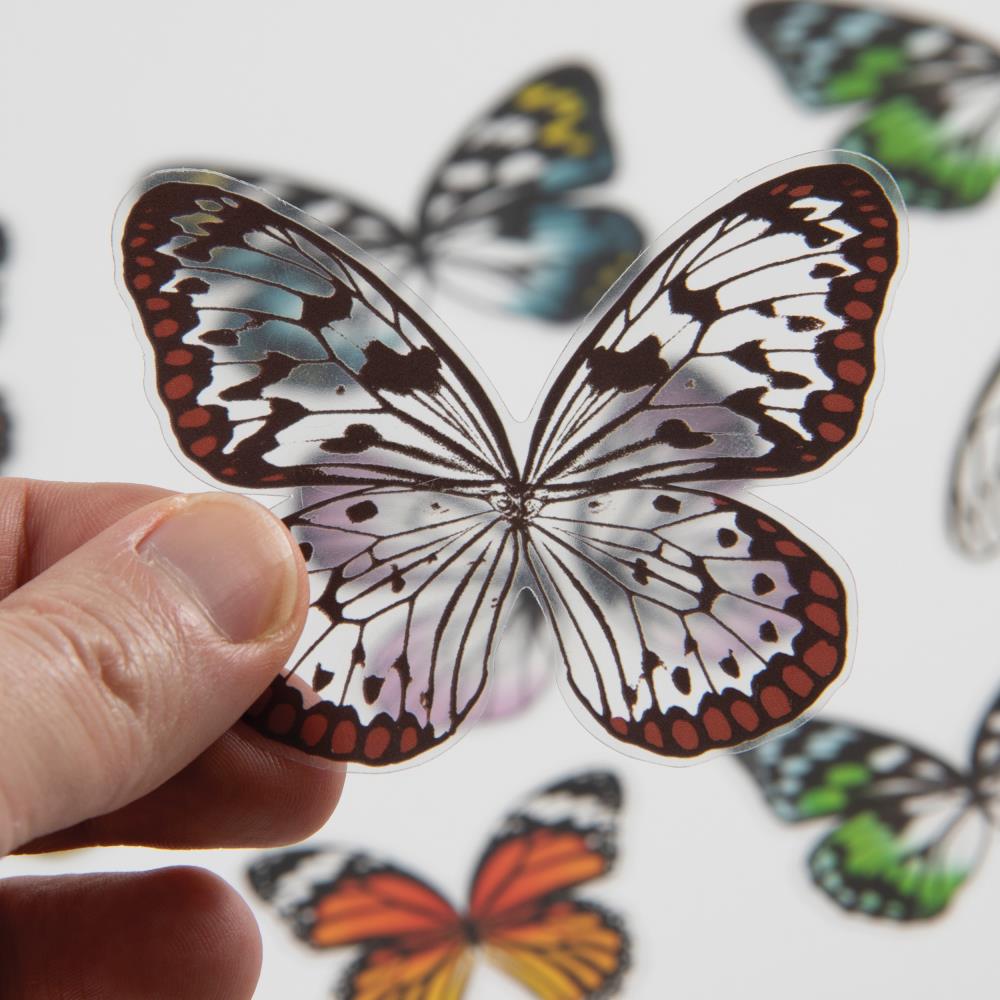 Набір прозорих крилець Idea-Ology Transparent Acetate Wings, 72 шт, Tim Holtz