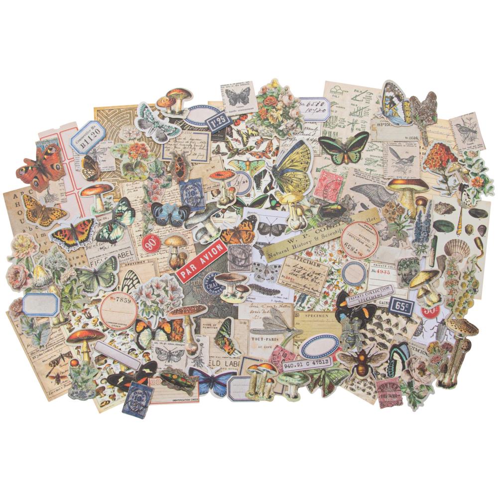 Набір вирубування Idea-Ology Ephemera Pack, Field Notes, Tim Holtz