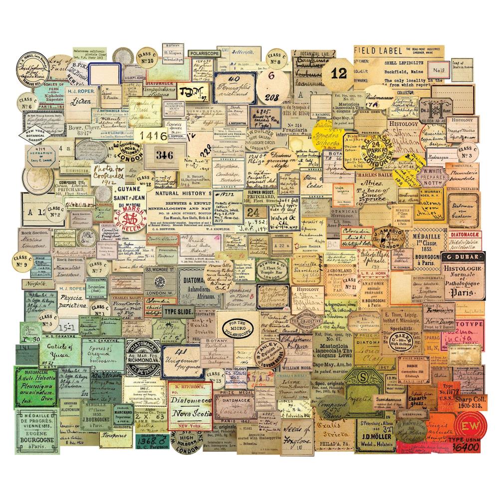 Набір вирубування, Idea-Ology Curator Ephemera Snippets, 233 шт, Tim Holtz