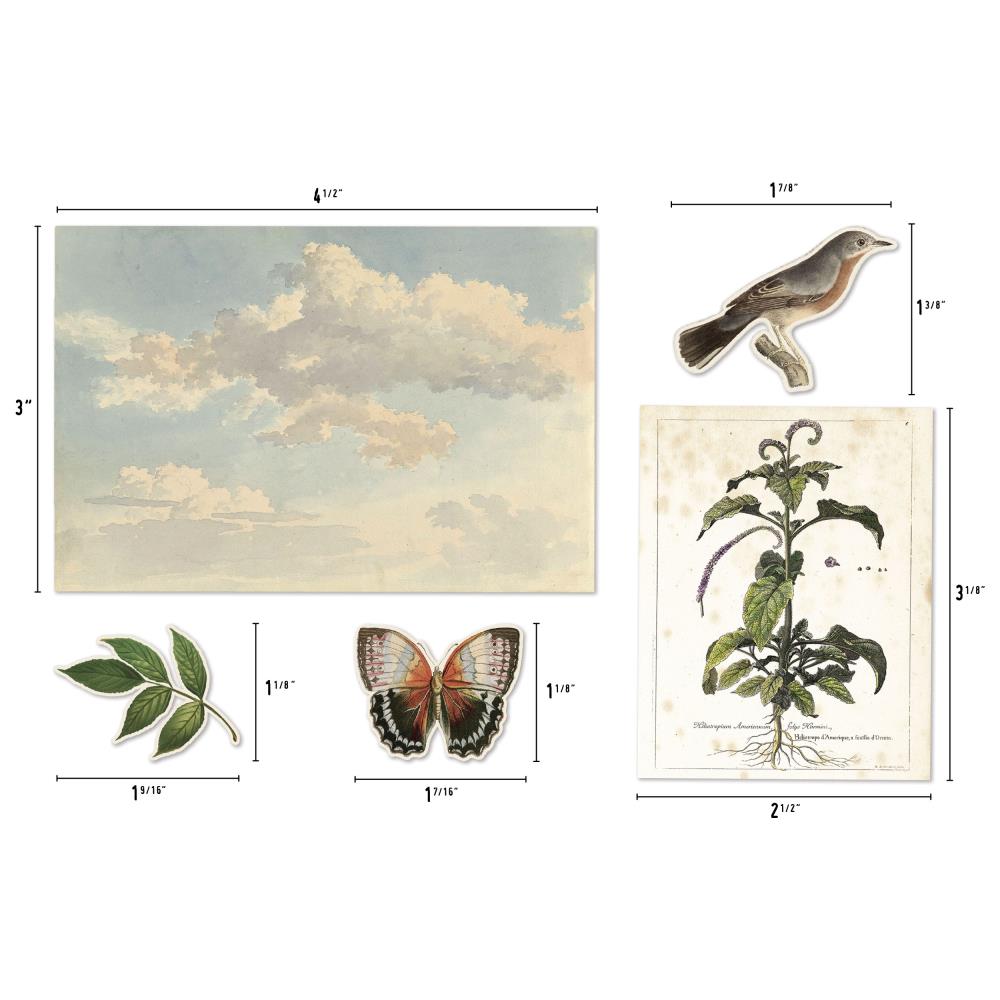 Набор высечек Idea-Ology Ephemera Pack, Organic Layers, 45 шт, Tim Holtz