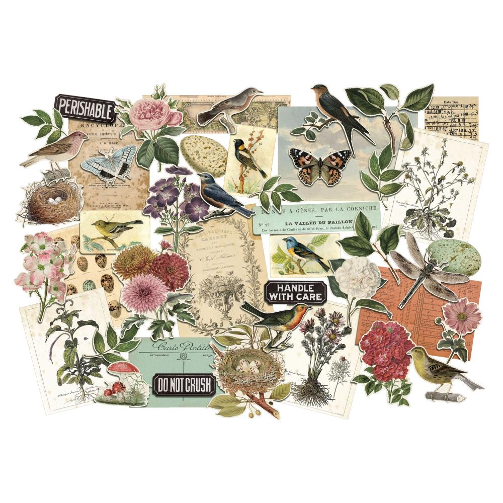 Набор высечек Idea-Ology Ephemera Pack, Organic Layers, 45 шт, Tim Holtz