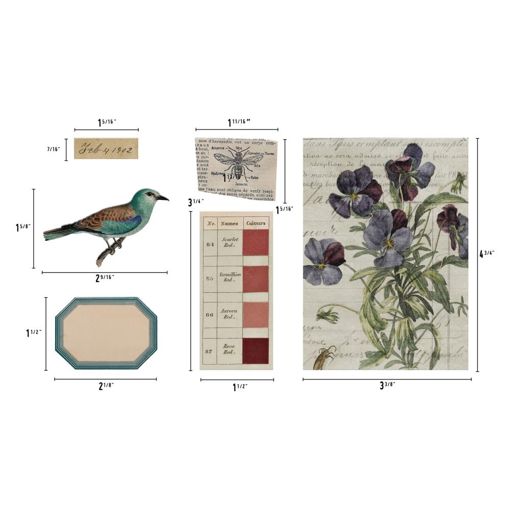Набір вирубування, Idea-Ology Transparent Things 2, 33 шт, Tim Holtz