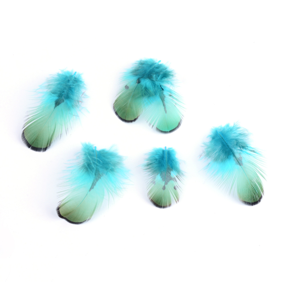 Набор окрашенных перьев, 10 шт, темно-бирюзовый, от 45 до 105 мм, от 10 до 30 мм
